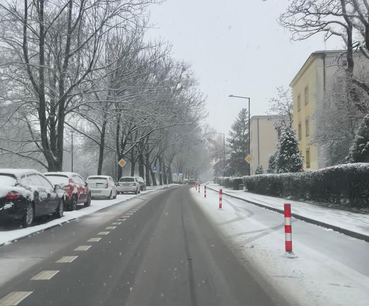 ulica, śnieg, drzewa