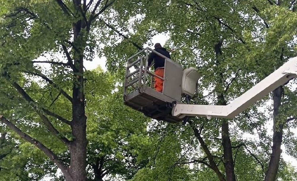 Prace porządkowe, które poprawią bezpieczeństwo